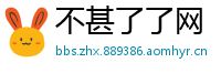 不甚了了网